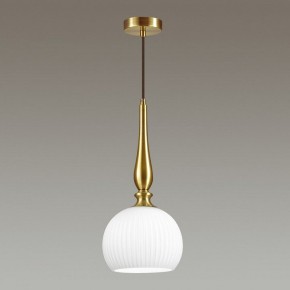 Подвесной светильник Odeon Light Runga 4767/1 в Кировграде - kirovgrad.mebel24.online | фото 4