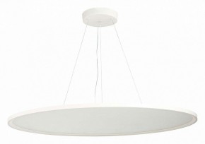 Подвесной светильник ST-Luce ST602 ST602.543.120 в Кировграде - kirovgrad.mebel24.online | фото 2