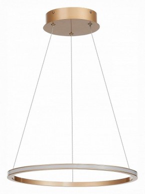 Подвесной светильник ST-Luce ST604 OUT ST604.243.22 в Кировграде - kirovgrad.mebel24.online | фото 2
