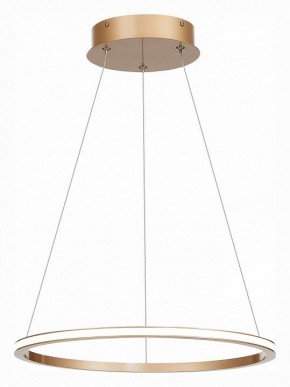 Подвесной светильник ST-Luce ST604 OUT ST604.243.22 в Кировграде - kirovgrad.mebel24.online | фото 3