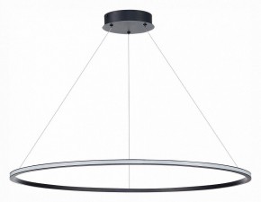 Подвесной светильник ST-Luce ST604 OUT ST604.443.57 в Кировграде - kirovgrad.mebel24.online | фото 2