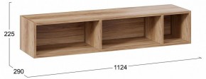 Полка навесная ТД-102.28 в Кировграде - kirovgrad.mebel24.online | фото 9