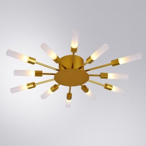 Потолочная люстра Arte Lamp Maple A1276PL-12GO в Кировграде - kirovgrad.mebel24.online | фото 1