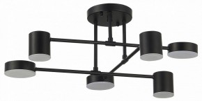 Потолочная люстра EVOLUCE Nobel SLE201042-06 в Кировграде - kirovgrad.mebel24.online | фото 11