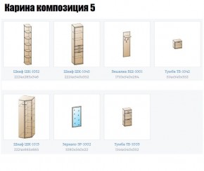 Прихожая Карина (модульная) в Кировграде - kirovgrad.mebel24.online | фото 2