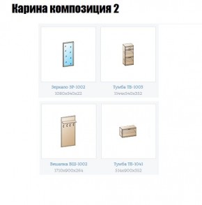 Прихожая Карина (модульная) в Кировграде - kirovgrad.mebel24.online | фото 6