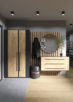 Прихожая "Сидней" (Сд.Пр-1) в Кировграде - kirovgrad.mebel24.online | фото 2