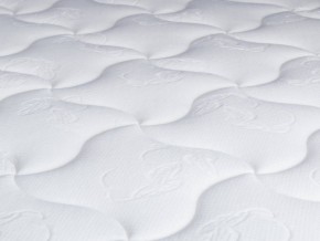 PROxSON Матрас Active Comfort M (Ткань Трикотаж Эко) 90x190 в Кировграде - kirovgrad.mebel24.online | фото 9