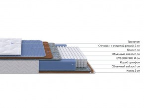 PROxSON Матрас Active Duo M/F (Ткань Трикотаж Эко) 200x200 в Кировграде - kirovgrad.mebel24.online | фото 2