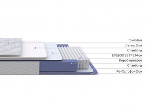 PROxSON Матрас Active Duo S/F (Ткань Трикотаж Эко) 120x190 в Кировграде - kirovgrad.mebel24.online | фото 2