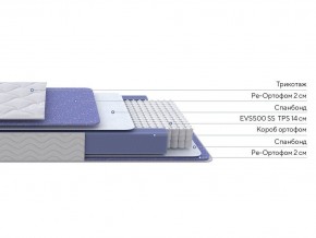 PROxSON Матрас Active F (Ткань Трикотаж Эко) 80x190 в Кировграде - kirovgrad.mebel24.online | фото 2