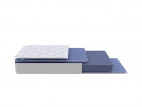 PROxSON Матрас Active Flex M (Ткань Трикотаж Эко) 120x195 в Кировграде - kirovgrad.mebel24.online | фото 1