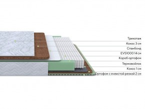 PROxSON Матрас Green Duo M/F (Tricotage Dream) 80x195 в Кировграде - kirovgrad.mebel24.online | фото 2