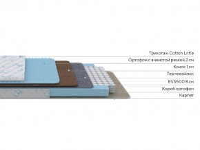 PROxSON Матрас Совенок (Print) 60x120 в Кировграде - kirovgrad.mebel24.online | фото 2