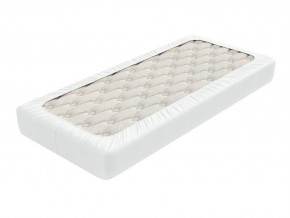 PROxSON Защитный чехол Aqua Save Light S (Ткань влагостойкая Tencel Jersey) 200x195 в Кировграде - kirovgrad.mebel24.online | фото 2