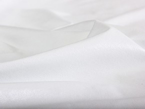 PROxSON Защитный чехол Aqua Save Plush S (Ткань влагостойкая Coral Fleece) 200x220 в Кировграде - kirovgrad.mebel24.online | фото 6