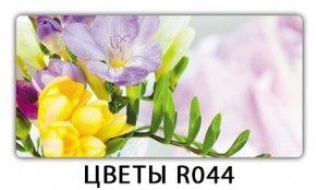 Раздвижной СТ Бриз орхидея R041 Доска D110 в Кировграде - kirovgrad.mebel24.online | фото 12