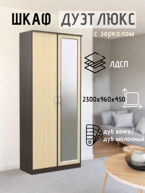 Шкаф 2-х створчатый Дуэт Люкс с зеркалом в Кировграде - kirovgrad.mebel24.online | фото