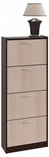 Шкаф для обуви ТО-24 в Кировграде - kirovgrad.mebel24.online | фото