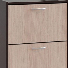 Шкаф для обуви ТО-24 в Кировграде - kirovgrad.mebel24.online | фото 4