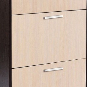 Шкаф для обуви УК-4 в Кировграде - kirovgrad.mebel24.online | фото 2