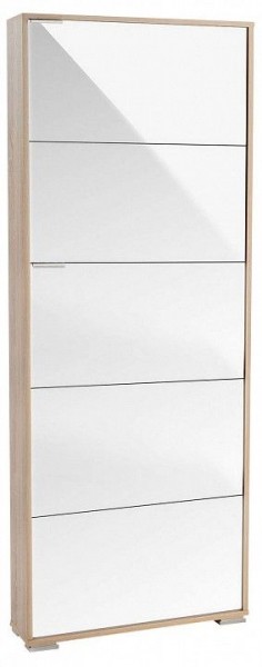 Шкаф для обуви Viva-5LW в Кировграде - kirovgrad.mebel24.online | фото