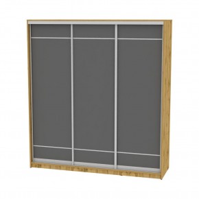 Шкаф-купе B-220х200х60-2 "Белла" в Кировграде - kirovgrad.mebel24.online | фото 19