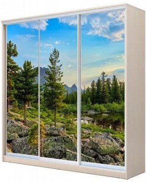 Шкаф-купе ХИТ 22-20-777 ПРИРОДА в Кировграде - kirovgrad.mebel24.online | фото