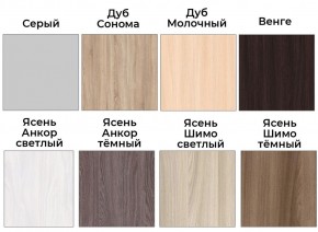 Шкаф-купе ХИТ 22-4-14-88 (420) в Кировграде - kirovgrad.mebel24.online | фото 3