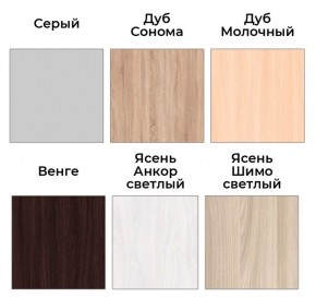 Шкаф-купе ХИТ 22-4-14-88 (420) в Кировграде - kirovgrad.mebel24.online | фото 4
