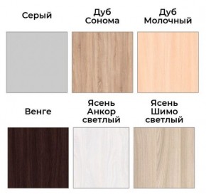 Шкаф-купе ХИТ 22-4-17-55 (420) в Кировграде - kirovgrad.mebel24.online | фото 3