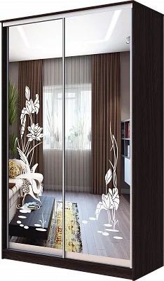 Шкаф-купе ХИТ 23-14-66 ЦАПЛИ в Кировграде - kirovgrad.mebel24.online | фото
