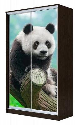 Шкаф-купе ХИТ 23-15-77 ПАНДА в Кировграде - kirovgrad.mebel24.online | фото