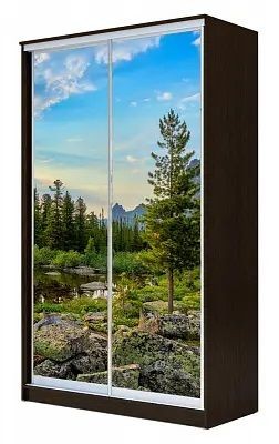 Шкаф-купе ХИТ 23-15-77 ПРИРОДА в Кировграде - kirovgrad.mebel24.online | фото