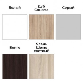 Шкаф-купе ХИТ 23-24/2-7777 (620) в Кировграде - kirovgrad.mebel24.online | фото 2