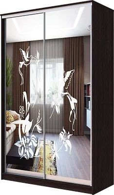 Шкаф-купе ХИТ 23-4-12/2-66 КОЛИБРИ в Кировграде - kirovgrad.mebel24.online | фото