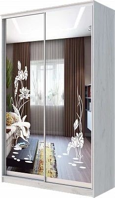 Шкаф-купе ХИТ 24-14-66 ЦАПЛИ в Кировграде - kirovgrad.mebel24.online | фото