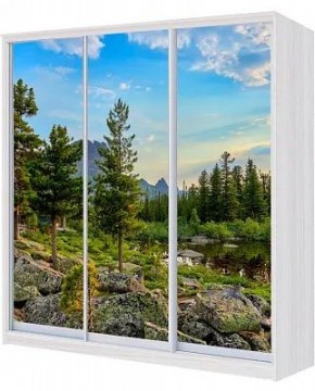 Шкаф-купе ХИТ 24-20-777 ПРИРОДА в Кировграде - kirovgrad.mebel24.online | фото