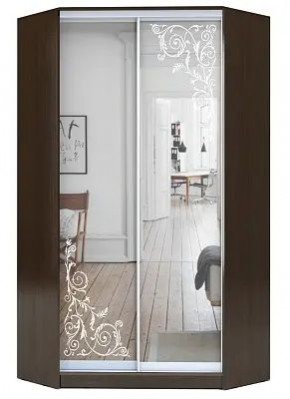 Шкаф-купе ХИТ-У-R-23-64-66 ОРНАМЕНТ в Кировграде - kirovgrad.mebel24.online | фото
