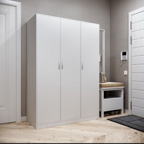 Шкаф ОРИОН трехдверный, цвет белый в Кировграде - kirovgrad.mebel24.online | фото 2
