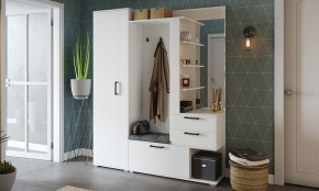 Шкаф платяной Эрика в Кировграде - kirovgrad.mebel24.online | фото 3