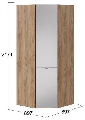 Шкаф платяной Глосс СМ-319.07.312 в Кировграде - kirovgrad.mebel24.online | фото 4