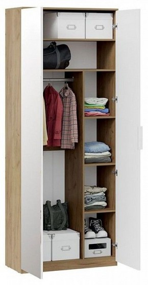 Шкаф платяной Хилтон Исп. 2.1 в Кировграде - kirovgrad.mebel24.online | фото 4