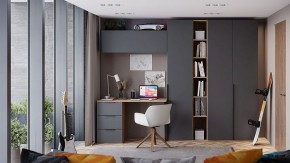 Шкаф платяной Порто СМ-393.07.223 в Кировграде - kirovgrad.mebel24.online | фото 7