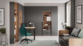 Шкаф платяной Порто СМ-393.07.223 в Кировграде - kirovgrad.mebel24.online | фото 9