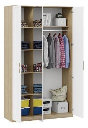 Шкаф платяной Сэнди в Кировграде - kirovgrad.mebel24.online | фото 3