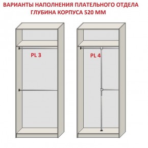 Шкаф распашной серия «ЗЕВС» (PL3/С1/PL2) в Кировграде - kirovgrad.mebel24.online | фото 10