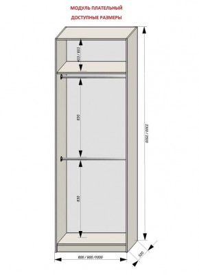 Шкаф распашной серия «ЗЕВС» (PL3/С1/PL2) в Кировграде - kirovgrad.mebel24.online | фото 12