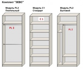 Шкаф распашной серия «ЗЕВС» (PL3/С1/PL2) в Кировграде - kirovgrad.mebel24.online | фото 2