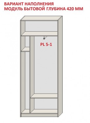 Шкаф распашной серия «ЗЕВС» (PL3/С1/PL2) в Кировграде - kirovgrad.mebel24.online | фото 4